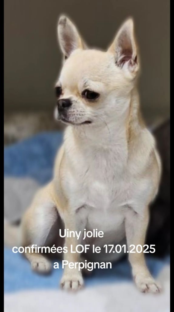 Uiny jolie (Sans Affixe)